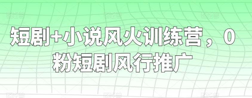 短剧+小说风火训练营，0粉短剧风行推广-九洲网
