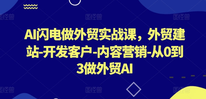 AI闪电做外贸实战课，​外贸建站-开发客户-内容营销-从0到3做外贸AI(更新)-九洲网