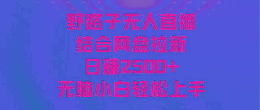 无人直播野路子结合网盘拉新，日赚2500+多平台变现，小白无脑轻松上手操作-九洲网