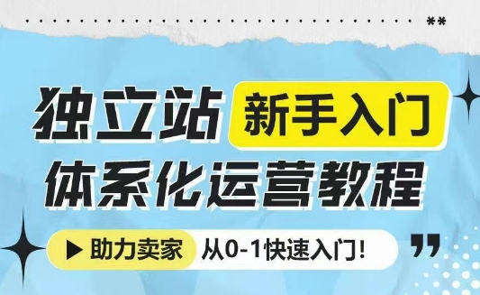 独立站新手入门体系化运营教程，助力独立站卖家从0-1快速入门!-九洲网