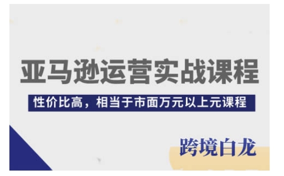 亚马逊运营实战课程，亚马逊从入门到精通，性价比高，相当于市面万元以上元课程-九洲网
