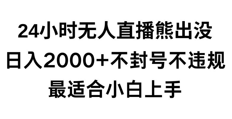 快手24小时无人直播熊出没，不封直播间，不违规，日入2000+，最适合小白上手，保姆式教学【揭秘】-九洲网