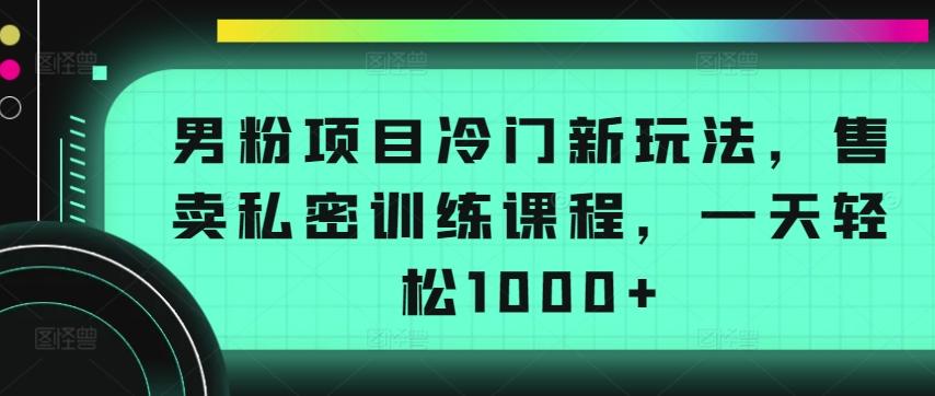男粉项目冷门新玩法，售卖私密训练课程，一天轻松1000+【揭秘】-九洲网
