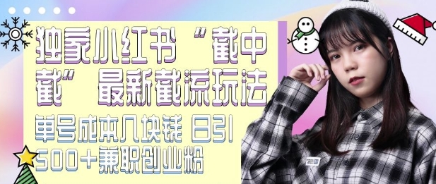 最新小红书截流玩法 独家截中截 单号成本几块钱 日引500+CY粉JZ粉-九洲网