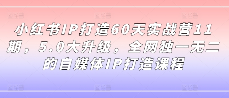 小红书IP打造60天实战营11期，5.0大升级，全网独一无二的自媒体IP打造课程-九洲网
