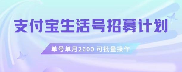 支付宝生活号作者招募计划，单号单月2600，可批量去做，工作室一人一个月轻松1w+【揭秘】-九洲网