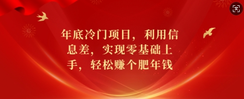 年底冷门项目，利用信息差，实现零基础上手，轻松赚个肥年钱【揭秘】-九洲网