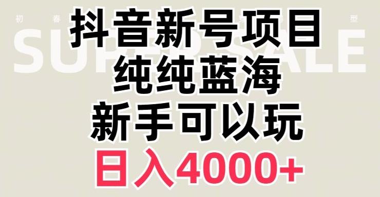 抖音蓝海赛道，必须是新账号，日入4000+【揭秘】-九洲网