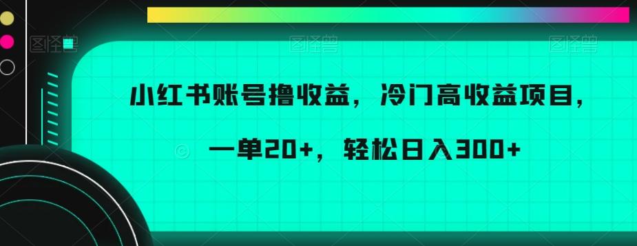 小红书账号撸收益，冷门高收益项目，一单20+，轻松日入300+【揭秘】-九洲网