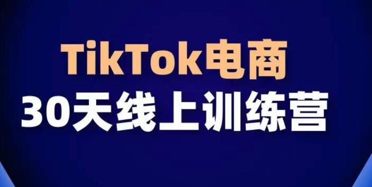 TikTok电商带货30天线上课，不可错过的全球流量洼地！-九洲网