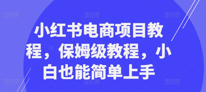 小红书电商项目教程，保姆级教程，小白也能简单上手-九洲网