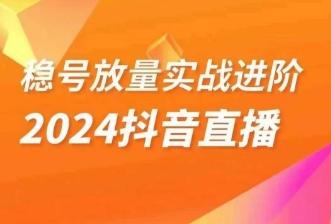 稳号放量实战进阶—2024抖音直播，直播间精细化运营的几大步骤-九洲网