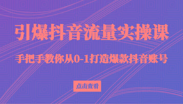 引爆抖音流量实操课，手把手教你从0-1打造爆款抖音账号(27节课)-九洲网