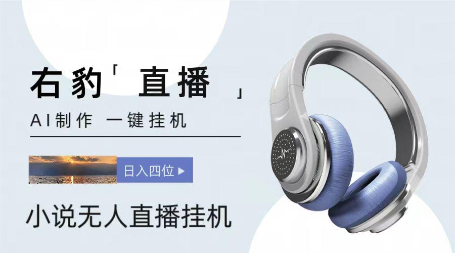 右豹小说无人直播挂机吸金项目，简单易行收益稳定， 月入1000+-九洲网