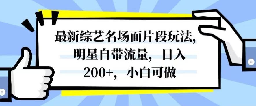 最新综艺名场面片段玩法，明星自带流量，日入200+，小白可做【揭秘】-九洲网