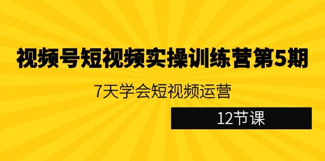 视频号短视频实操训练营第5期：7天学会短视频运营(12节课)-九洲网