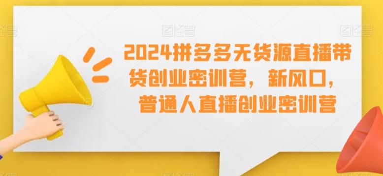 2024拼多多无货源直播带货创业密训营，新风口，普通人直播创业密训营-九洲网