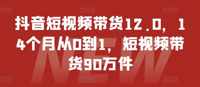 抖音短视频带货12.0，14个月从0到1，短视频带货90万件-九洲网
