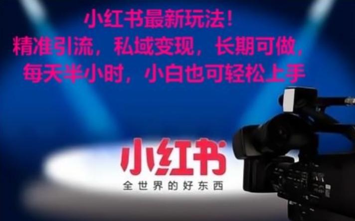 小红书最新玩法！精准引流，私域变现，长期可做，每天半小时，小白也可轻松上手【揭秘】-九洲网