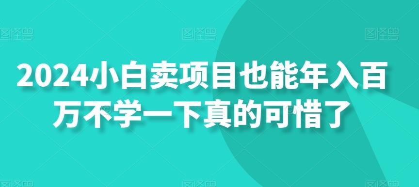 2024小白卖项目也能年入百万不学一下真的可惜了-九洲网
