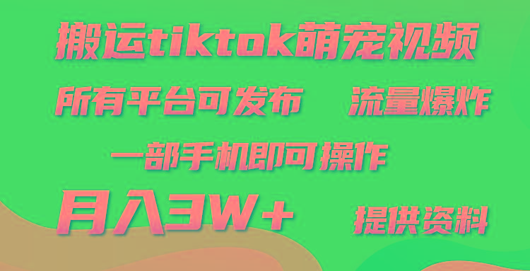 (9618期)搬运Tiktok萌宠类视频，一部手机即可。所有短视频平台均可操作，月入3W+-九洲网