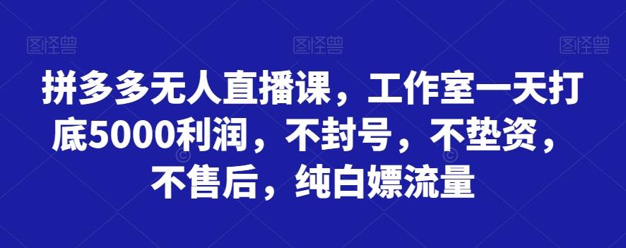 拼多多无人直播课，工作室一天打底5000利润，不封号，不垫资，不售后，纯白嫖流量-九洲网
