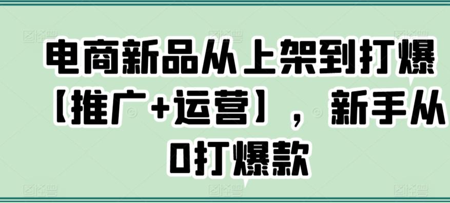 电商新品从上架到打爆【推广+运营】，新手从0打爆款-九洲网