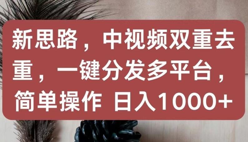 新思路，中视频双重去重，一键分发多平台，简单操作，日入1000+【揭秘】-九洲网