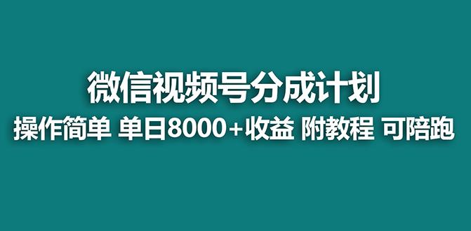 【蓝海项目】视频号分成计划最新玩法，单天收益8000+，附玩法教程，24年...-九洲网