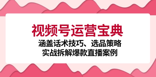 视频号运营宝典：涵盖话术技巧、选品策略、实战拆解爆款直播案例-九洲网