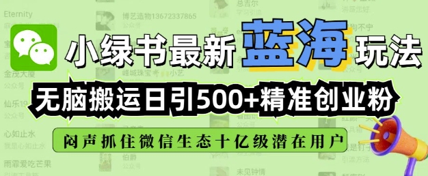 小绿书无脑搬运引流，全自动日引500精准创业粉，微信生态内又一个闷声发财的机会-九洲网
