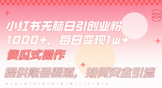小红书无脑每日引流创业粉500+，小白每天只花半小时，躺赚长尾收益【揭秘】-九洲网