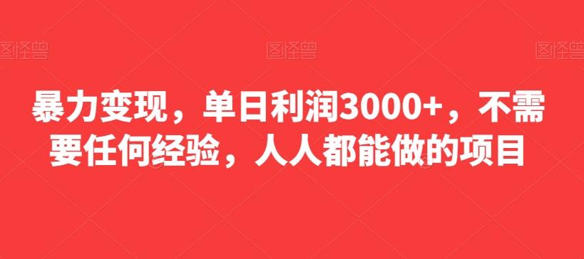 暴力变现，单日利润3000+，不需要任何经验，人人都能做的项目-九洲网