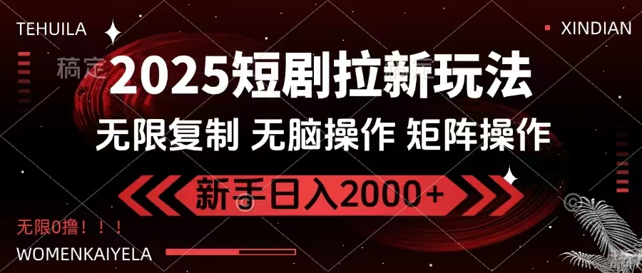 2025短剧拉新玩法，无需注册登录，无限0撸，无脑批量操作日入2000+-九洲网