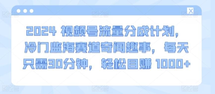 2024视频号流量分成计划，冷门监海赛道奇闻趣事，每天只需30分钟，轻松目赚 1000+【揭秘】-九洲网