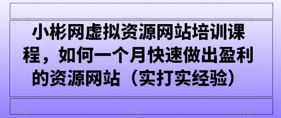 小彬网虚拟资源网站培训课程，如何一个月快速做出盈利的资源网站(实打实经验)-九洲网