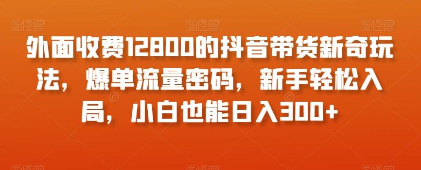 外面收费12800的抖音带货新奇玩法，爆单流量密码，新手轻松入局，小白也能日入300+【揭秘】-九洲网