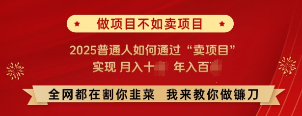 必看，做项目不如卖项目，2025普通人如何通过“卖项目”实现月入十个，年入百个-九洲网
