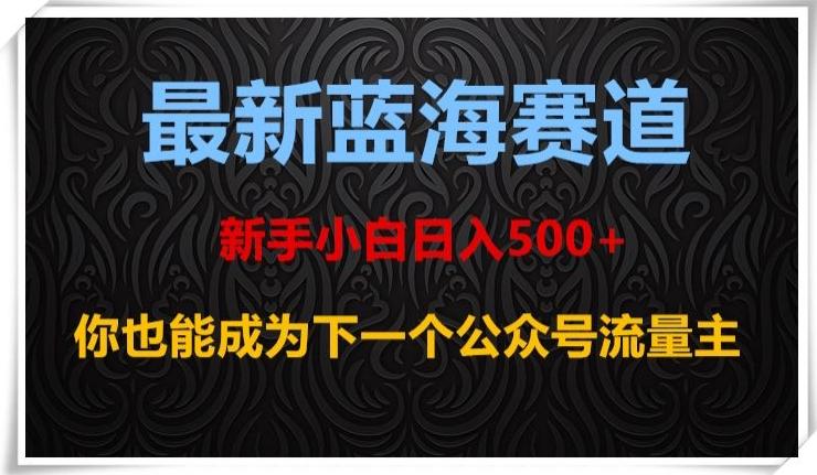 最新蓝海赛道，新手小白日入500+，你也能成为下一个公众号流量主【揭秘】-九洲网