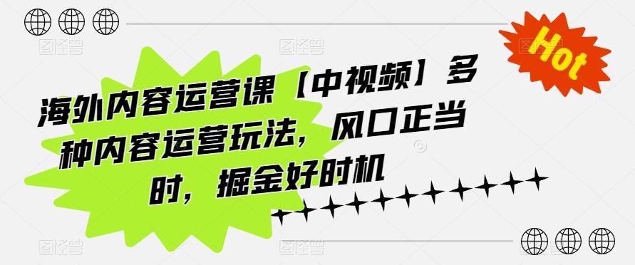 海外内容运营课【中视频】多种内容运营玩法，风口正当时，掘金好时机-九洲网