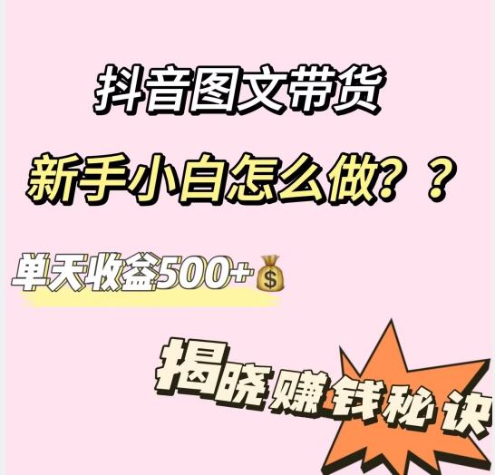 抖音图文带货，新手小白怎么做？单天收益500+【揭秘赚钱秘诀】-九洲网