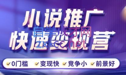 洲洲老师·小说推广快速变现营-九洲网