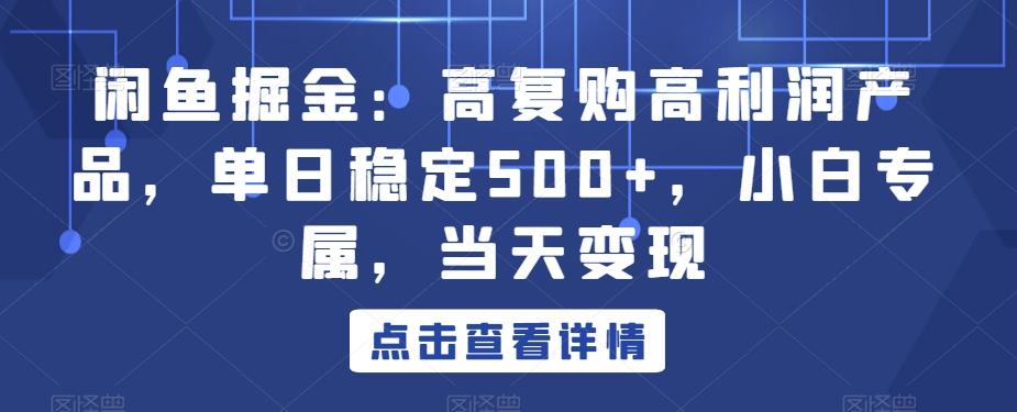 闲鱼掘金：高复购高利润产品，单日稳定500+，小白专属，当天变现-九洲网