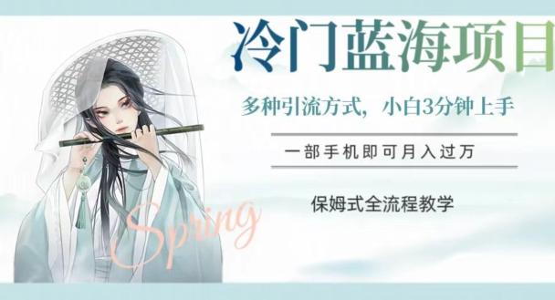 冷门蓝海项目，操作简单，小白3分钟上手，多种引流方式，保姆式全流程教学【揭秘】-九洲网