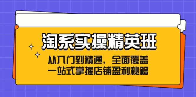 淘系实操精英班：从入门到精通，全面覆盖，一站式掌握店铺盈利秘籍-九洲网