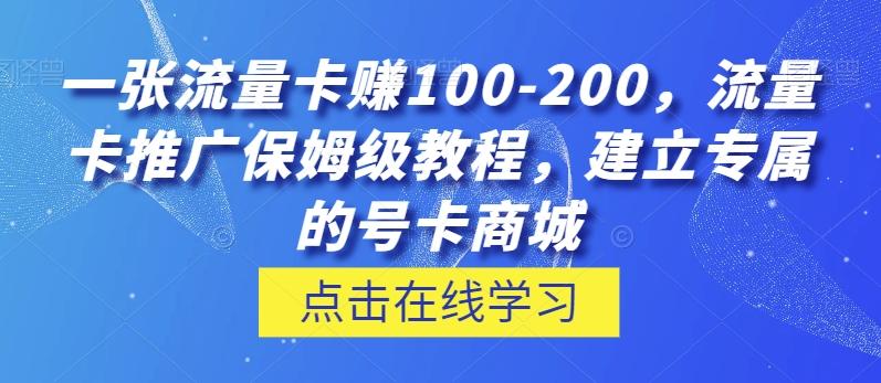 一张流量卡赚100-200，流量卡推广保姆级教程，建立专属的号卡商城-九洲网