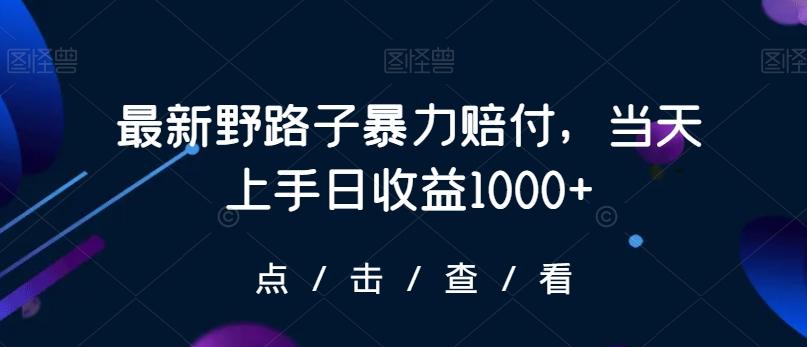 最新野路子暴力赔付，当天上手日收益1000+【仅揭秘】-九洲网