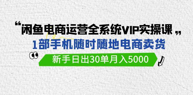 (9547期)闲鱼电商运营全系统VIP实战课，1部手机随时随地卖货，新手日出30单月入5000-九洲网