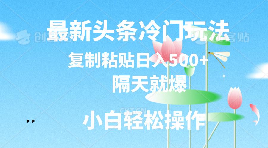 最新头条冷门玩法，隔天就爆，复制粘贴日入500+-九洲网
