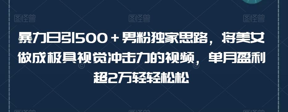暴力日引500＋男粉独家思路，将美女做成极具视觉冲击力的视频，单月盈利超2万轻轻松松-九洲网